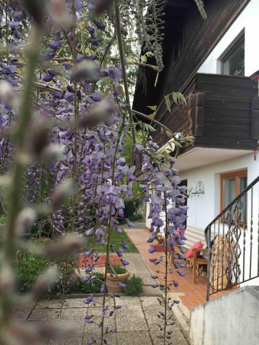 Charmantes Landhaus Mit Garten Und Traumhaftem Fernblick Thal  Kültér fotó