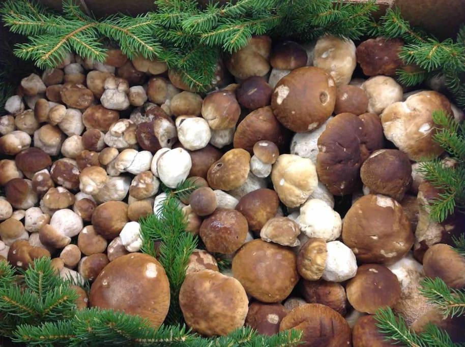 Charmantes Landhaus Mit Garten Und Traumhaftem Fernblick Thal  Kültér fotó