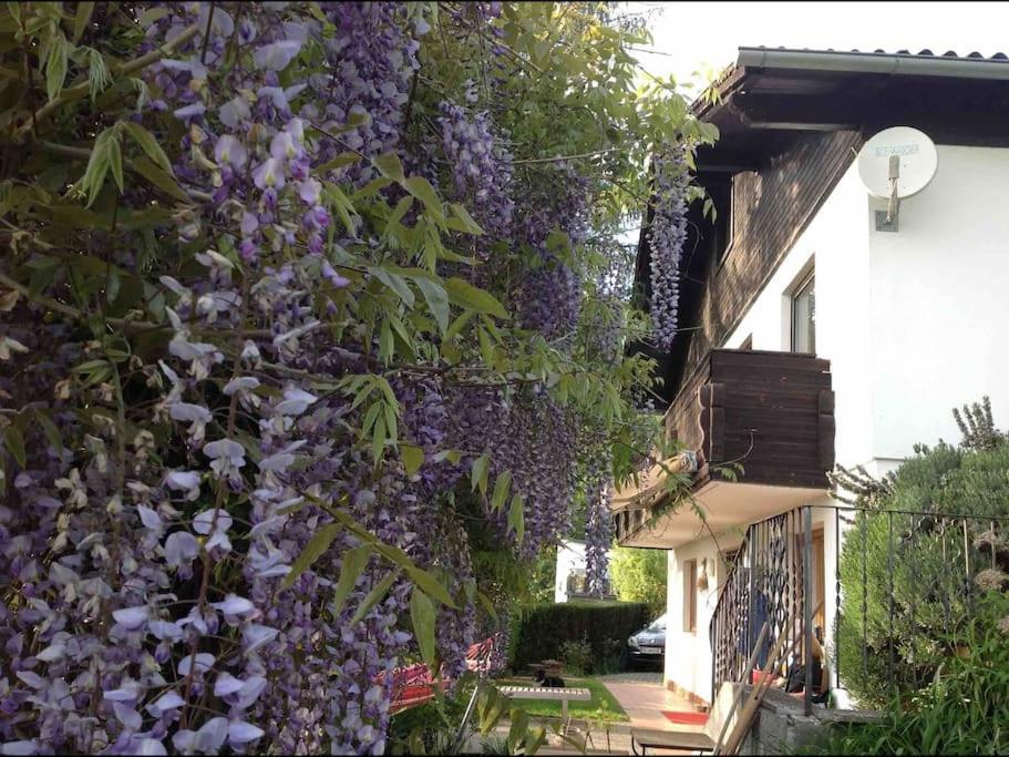 Charmantes Landhaus Mit Garten Und Traumhaftem Fernblick Thal  Kültér fotó