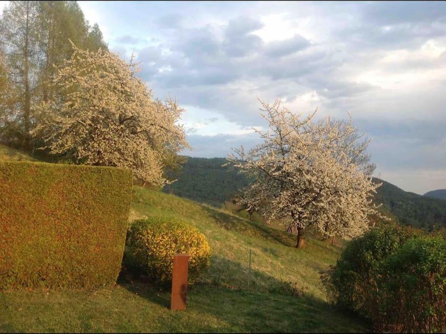 Charmantes Landhaus Mit Garten Und Traumhaftem Fernblick Thal  Kültér fotó