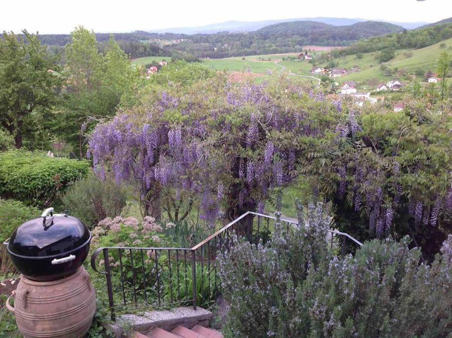 Charmantes Landhaus Mit Garten Und Traumhaftem Fernblick Thal  Kültér fotó
